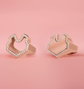 Double-rings1-700x700