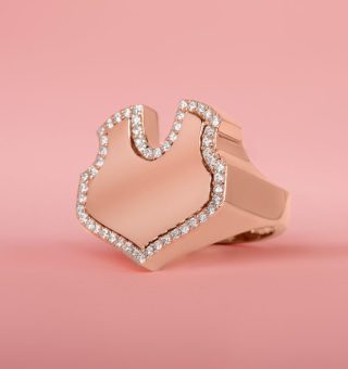 HA_1355F-700x700